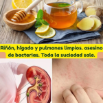Jugo de Naranja y Jengibre para Limpiar Riñones, Pulmones e Hígado