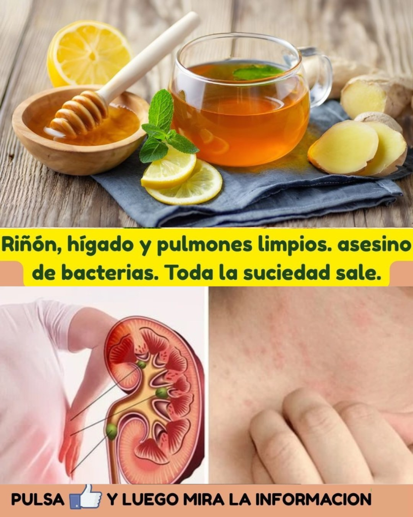 Jugo de Naranja y Jengibre para Limpiar Riñones, Pulmones e Hígado Jugo de Naranja y Jengibre para Limpiar Riñones, Pulmones e Hígado