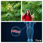 Di adiós a la anemia, la visión borrosa y el hígado graso con este jugo natural y saludable