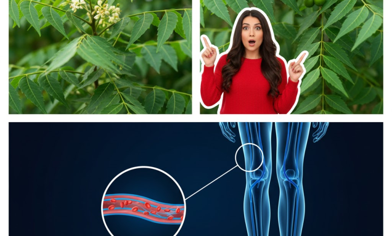 Di adiós a la anemia, la visión borrosa y el hígado graso con este jugo natural y saludable