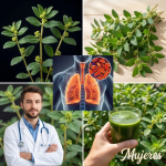 Descubre el poder oculto de la Euphorbia hirta: 17 beneficios de la “planta del asma” para tu salud