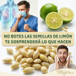 Semillas de limón: el pequeño tesoro olvidado con grandes beneficios para tu salud