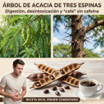 El poder oculto del árbol de acacia de tres espinas (Gleditsia triacanthos): salud, curación y usos cotidianos
