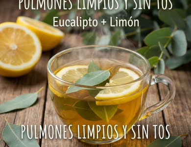 Pulmones Limpios y Sin Tos: La Infusión de Eucalipto y Limón que “Arranca” la Flema