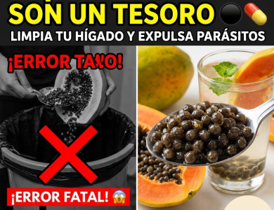 ¡No las tires a la basura! El “Tesoro Negro” de la Papaya que Limpia tu Hígado e Intestino ¡No las tires a la basura! El “Tesoro Negro” de la Papaya que Limpia tu Hígado e Intestino