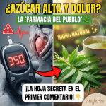 El “Árbol de la Vida”: La Hoja de Neem que Controla el Azúcar y Calma el Dolor