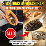 ¡Deja de tirarlas a la basura! El “Oro Negro” Medicinal de la Papaya ¡Deja de tirarlas a la basura! El “Oro Negro” Medicinal de la Papaya