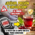 El Tónico “Triple Acción”: Guayaba, Jamaica y Canela para Limpiar y Regular tu Cuerpo