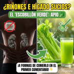 El “Escobillón Verde”: Por qué el Apio es el Mejor Amigo de tus Riñones e Hígado