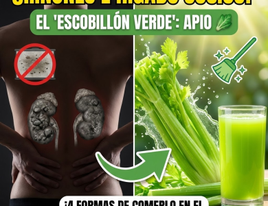 El “Escobillón Verde”: Por qué el Apio es el Mejor Amigo de tus Riñones e Hígado
