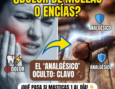 El Poder de Masticar 1 Clavo de Olor: El “Analgésico” Natural que Escondes en tu Cocina
