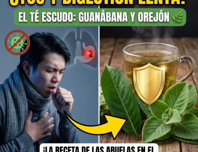 El “Té Escudo”: Hojas de Guanábana y Orégano Orejón para Respirar y Digerir Mejor