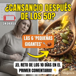 Las 6 “Pequeñas Gigantes”: Semillas que Transforman tu Energía y Digestión después de los 50