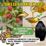 Higuereta o Ricino: El “Oro Espeso” para Cabello Infinito y Alivio del Dolor