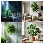 Más Que Decoración: 8 Plantas con “Personalidad” que Transformarán tu Hogar Más Que Decoración: 8 Plantas con “Personalidad” que Transformarán tu Hogar