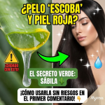 “No Soy Fría, Soy Sábila”: El Secreto Verde de la Abuela que Sigue de Moda