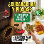 ¡Fuera Intrusos! 4 Remedios de la Abuela para Echar a las Plagas (Sin Químicos)