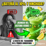 ¡Reinicia tu Sistema! El “Escuadrón Verde” que tu Cuerpo Necesita para Despegar