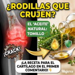 Adiós a las Rodillas “Oxidadas”: El Poder Oculto del Tomillo para tu Cartílago