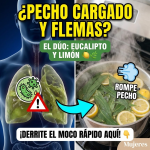 Respiro Profundo: La Infusión de Eucalipto y Limón para “Derretir” la Flema