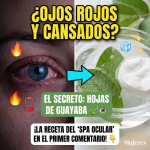 ¿Ojos Cansados? El Secreto de las Hojas de Guayaba para una Mirada Fresca ¿Ojos Cansados? El Secreto de las Hojas de Guayaba para una Mirada Fresca