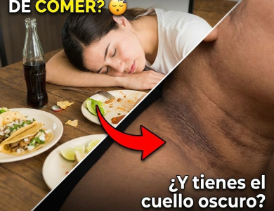 “¡No Manches!” – Tu Páncreas Rompe el Silencio: Por Qué Tienes Sueño Después de Comer y el Cuello Oscuro