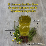 ¿Estómago Inflamado? La Infusión “3 Hierbas” que Expulsa los Gases y Alivia el Dolor