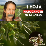 “No Solo Luches Contra la Enfermedad, Cambia el Terreno”: La Visión de Barbara O’Neill sobre el Cáncer