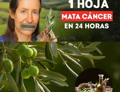 “No Solo Luches Contra la Enfermedad, Cambia el Terreno”: La Visión de Barbara O’Neill sobre el Cáncer