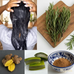 “El Shampoo Bomba”: Sábila, Romero y Jengibre para una Melena de Impacto