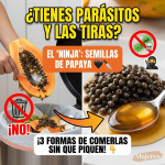 ¡No las Tires a la Basura! El “Ninja” Oculto en tu Papaya que Extermina Parásitos
