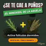 ¿Miedo a Cepillarte? El Tónico “Dinamita” de Romero y Cola de Caballo para una Melena de Impacto