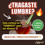 ¿Sientes que Tragaste Lumbre? El “Apaga-Fuegos” de Cuachalalate y Sábila para la Gastritis