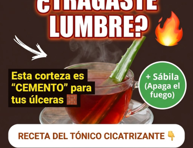 ¿Sientes que Tragaste Lumbre? El “Apaga-Fuegos” de Cuachalalate y Sábila para la Gastritis ¿Sientes que Tragaste Lumbre? El “Apaga-Fuegos” de Cuachalalate y Sábila para la Gastritis