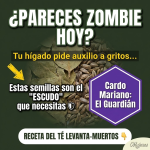 Misión Resurrección: El “Levanta-Muertos” de Boldo y Cardo Mariano para la Cruda Realidad