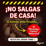 ¿Tráfico Lento en la Panza? El “Destapacaños” Natural de Tamarindo y Ciruela