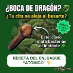 ¿Boca de Dragón o de Alcantarilla? El Enjuague “Matabacterias” de Clavo y Cardamomo que tu Cita Agradecerá