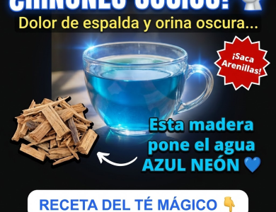 ¿Magia o Medicina? El Té que se Pone AZUL 💙 y Limpia tus Riñones (Palo Azul)