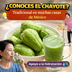 El chayote en la tradición y la cocina de todos los días