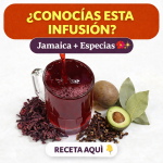 Infusión tradicional con jamaica y especias aromáticas Infusión tradicional con jamaica y especias aromáticas