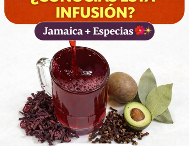 Infusión tradicional con jamaica y especias aromáticas