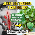 La “Maleza” Milagrosa: Por Qué la Verdolaga es el Secreto para una Espalda sin Dolor