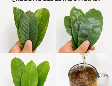 Infusión tradicional con hojas aromáticas y cúrcuma