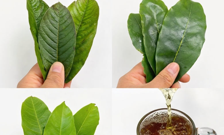 Infusión tradicional con hojas aromáticas y cúrcuma