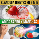 ¡Adiós a la Sonrisa de “Elote”! Blanquea tus Dientes y Elimina el Sarro con este Truco Casero de Fresa y Bicarbonato ¡Adiós a la Sonrisa de “Elote”! Blanquea tus Dientes y Elimina el Sarro con este Truco Casero de Fresa y Bicarbonato