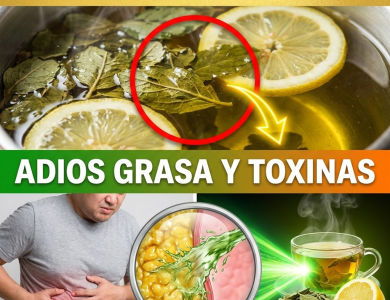 ¡Guácala! ¿Tu Hígado es una “Esponja de Grasa”?  Desintoxícalo YA con el General Boldo y el Sargento Limón
