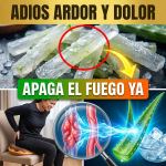¡¿Sientes Fuego en el “Chiquito”?! Apaga el Ardor de las Hemorroides con Sábila Congelada (Remedio Santo) ¡¿Sientes Fuego en el “Chiquito”?! Apaga el Ardor de las Hemorroides con Sábila Congelada (Remedio Santo)