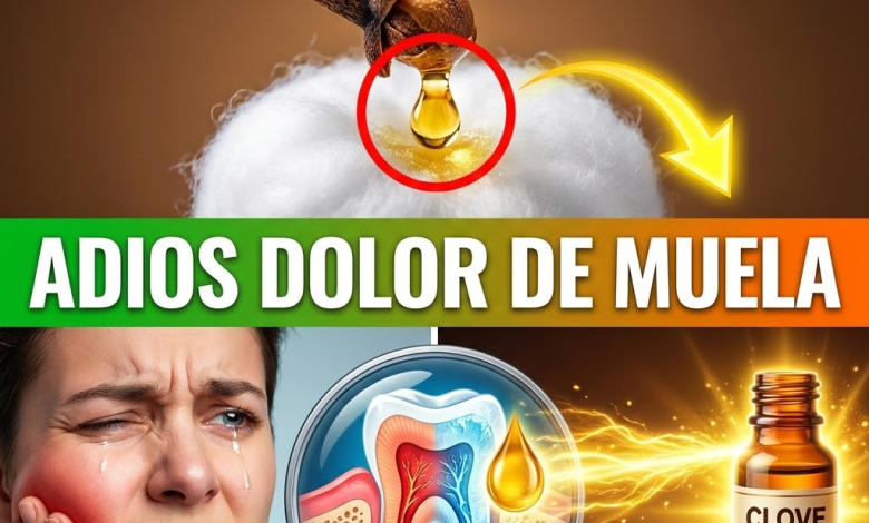 ¡¿Sientes un Taladro en la Muela?! “Duerme” el Nervio en Segundos con este Anestésico Ninja (Clavo de Olor)