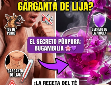 El Secreto Púrpura de México: Cómo la Bugambilia Cura tu “Tos de Perro”