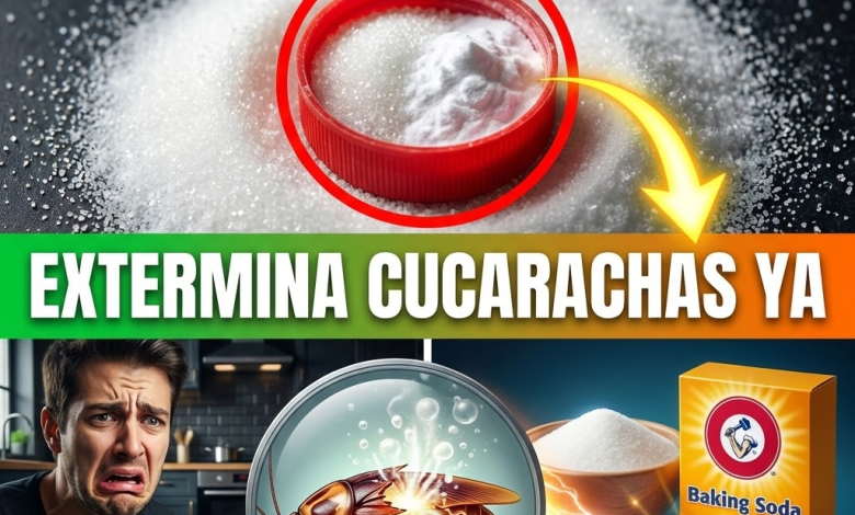 ¡Adiós a la Invasión! Cómo Hacer la “Trampa Mortal” de Bicarbonato y Azúcar para Exterminar Cucarachas